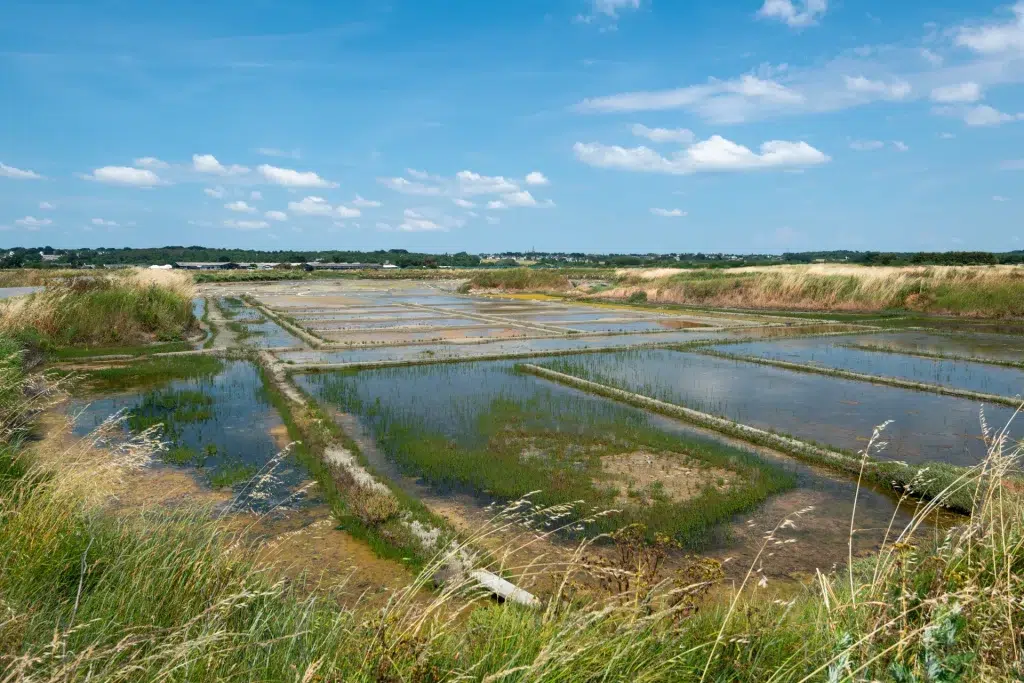 ile noirmoutier 3