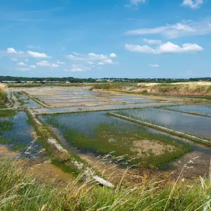 ile noirmoutier 3