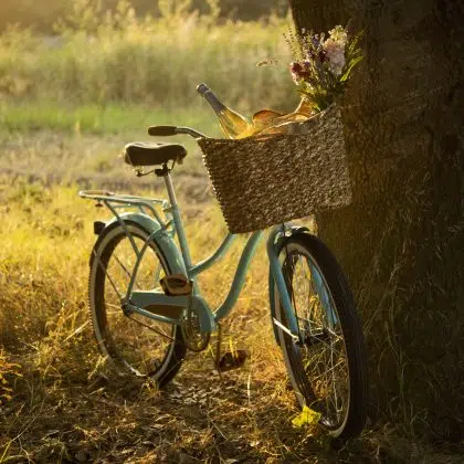 Vintage style bike with a wicker basket containing champagne / white wine, flowers, bread and other goodies for a late afternoon picnic.  Shallow DOF.